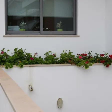 Holiday home Branca *