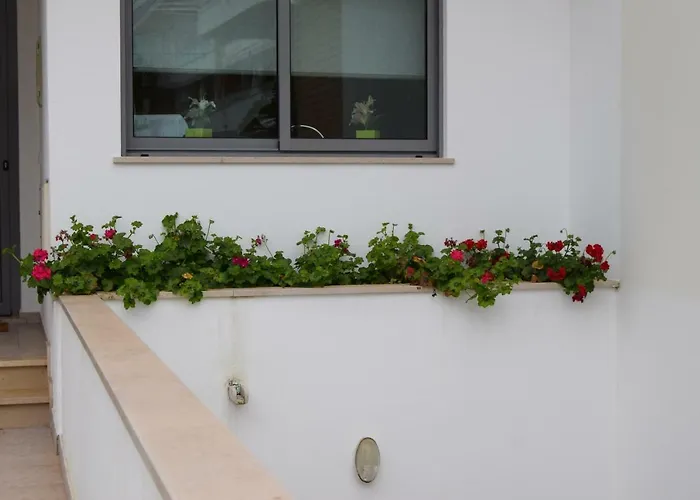 Hébergement de vacances Branca *